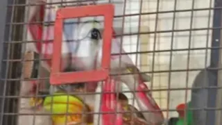PM Modi, BJP, VHP Express Concern After Lord Ganesha Idol Seated Inside Police Van Alongside Protesters In Bengaluru